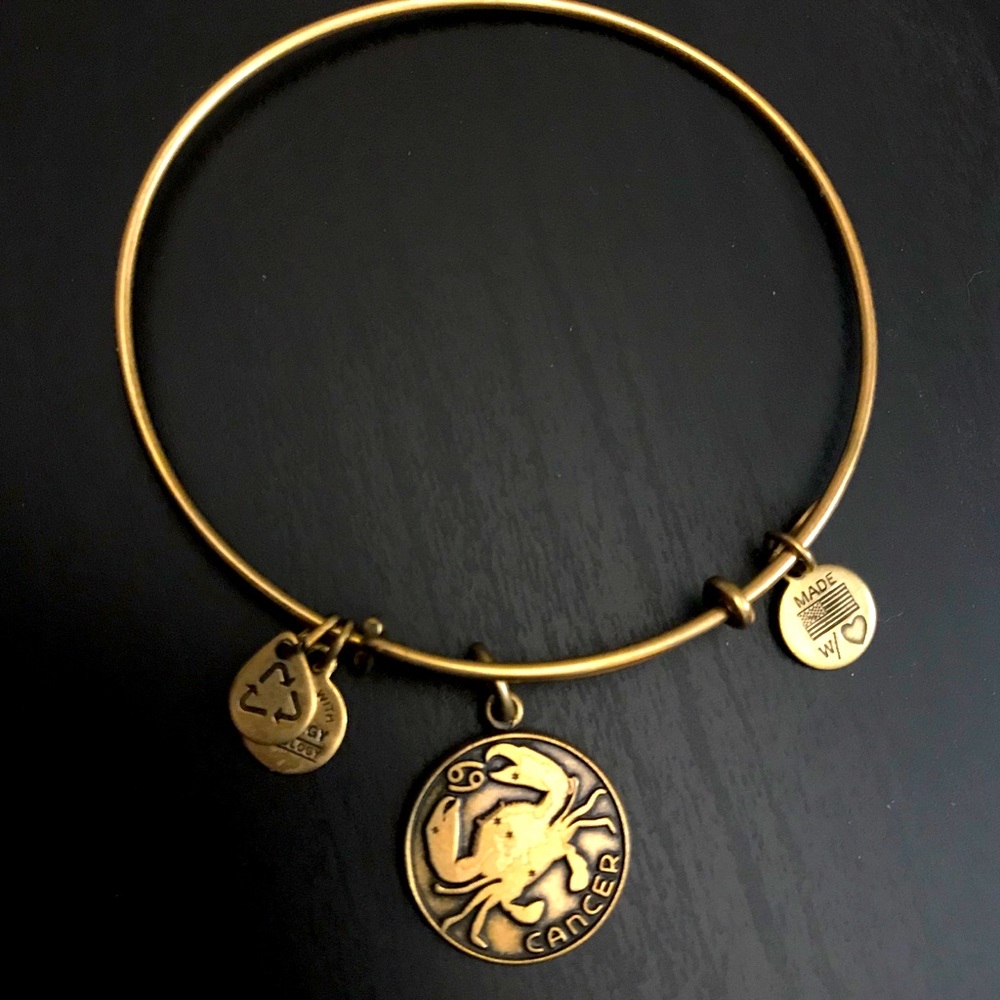 Alex and Ani Cancer zodiac bracelet